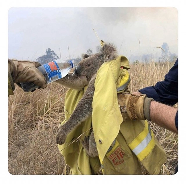 โลกของเรา​กำลังเข้าสู่ยุคการสูญพันธุ์​ ครั้งที่​ 6