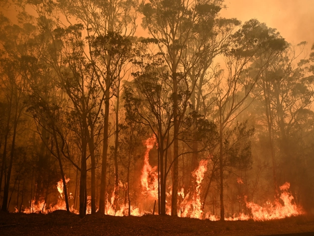 ไฟป่าออสเตรเลีย ภัยธรรมชาติรุนแรงอย่างที่ไม่เคยเกิดขึ้นมาก่อน
