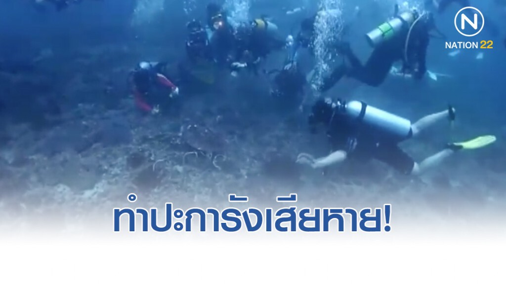 แฉไกด์นำเที่ยวแสบ นอนทับปะการังถ่ายรูปเต่า นำ นทท.ต่างชาติ ดำน้ำเกาะพีพี