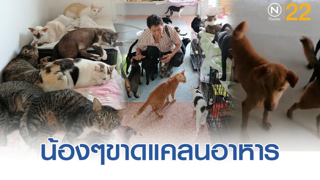 สถานสงเคราะห์หมา-เเมว "เเม่พิมพ์" โพสต์ ขาดแคลนอาหารอย่างหนัก
