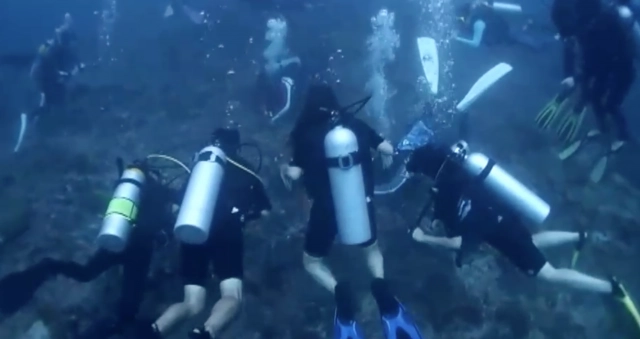 แฉไกด์นำเที่ยวแสบ นอนทับปะการังถ่ายรูปเต่า นำ นทท.ต่างชาติ ดำน้ำเกาะพีพี