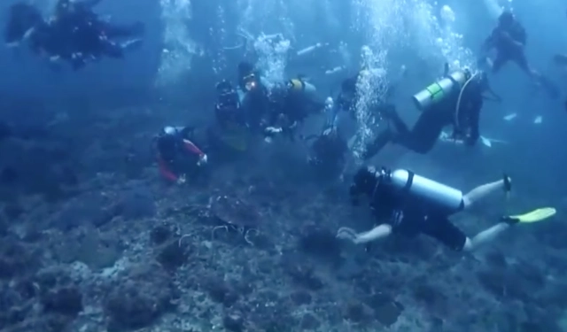 แฉไกด์นำเที่ยวแสบ นอนทับปะการังถ่ายรูปเต่า นำ นทท.ต่างชาติ ดำน้ำเกาะพีพี