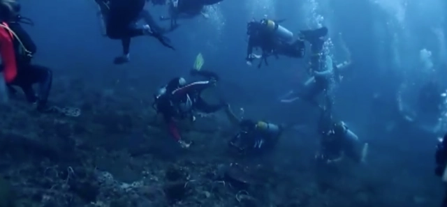 แฉไกด์นำเที่ยวแสบ นอนทับปะการังถ่ายรูปเต่า นำ นทท.ต่างชาติ ดำน้ำเกาะพีพี