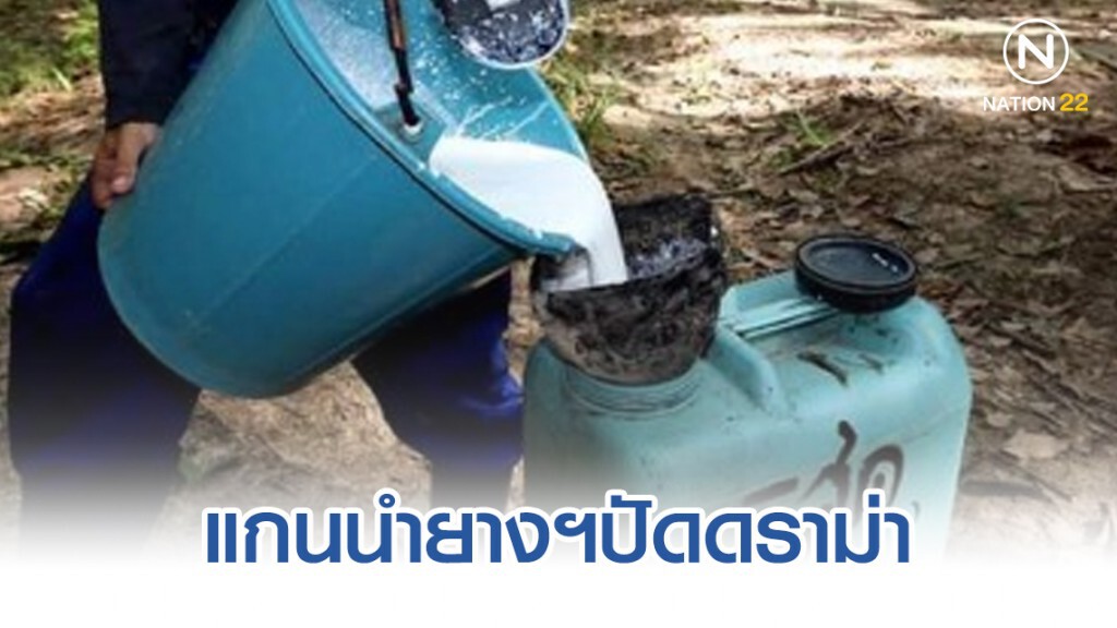 แกนนำยางฯปัดดราม่าราคาน้ำยาง 4 โลร้อย แกนนำยางฯปัดดราม่าราคาน้ำยาง 4 โลร้อย