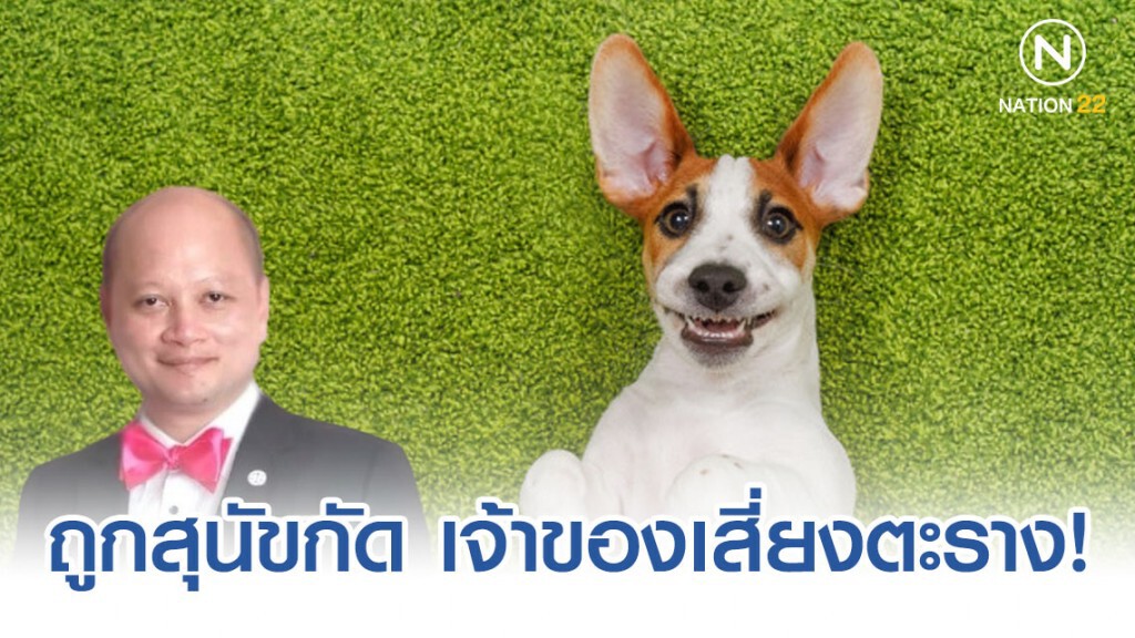 ทนาย รัชพล เผย ถูกสุนัขกัด เจ้าของเสี่ยงตะราง! ทนาย รัชพล เผย ถูกสุนัขกัด เจ้าของเสี่ยงตะราง!