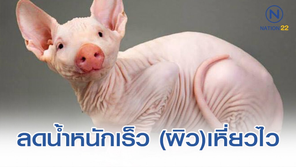 ลดน้ำหนักเร็ว (ผิว)เหี่ยวไว ลดน้ำหนักเร็ว (ผิว)เหี่ยวไว