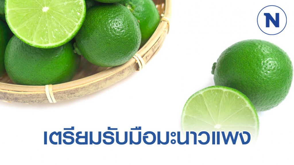 แล้งนี้ เตรียมรับมือมะนาวแพง แล้งนี้ เตรียมรับมือมะนาวแพง
