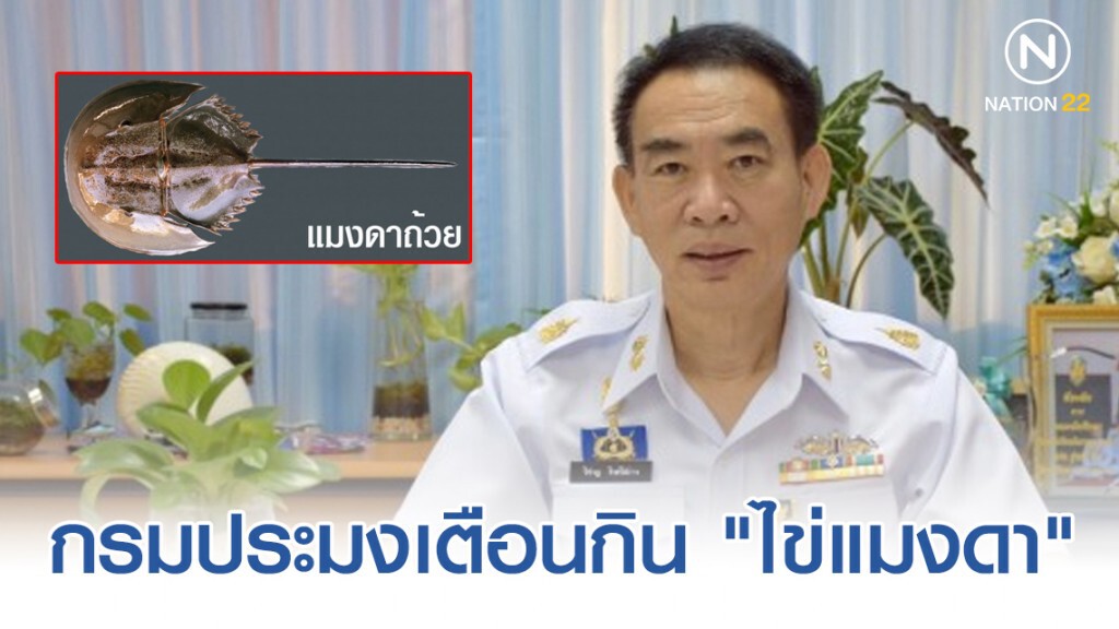 กรมประมงเตือนกิน "ไข่แมงดา" ระวังเจอไข่แมงดาถ้วย !! พิษแรงถึงชีวิต