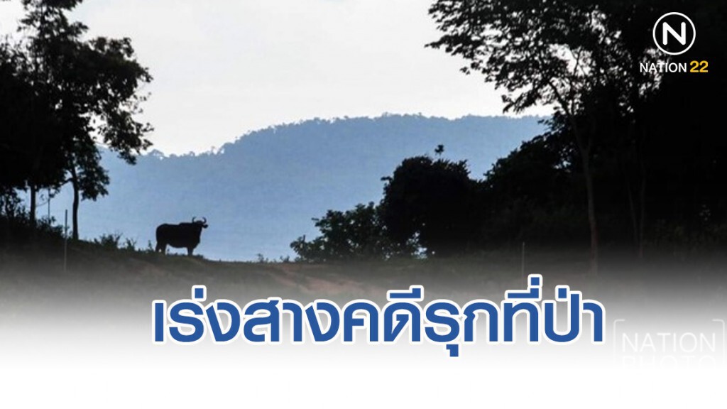 ส.ป.ก.เร่งสางคดีรุกที่ป่าเขาแผงม้า​ วังน้ำเขียว​ ส่งฟ้องแพ่งใน​ 90​ วัน