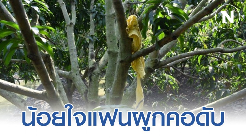 สาวชาวมอญน้อยใจแฟนผูกคอดับคาสวนมะม่วง สาวชาวมอญน้อยใจแฟนผูกคอดับคาสวนมะม่วง