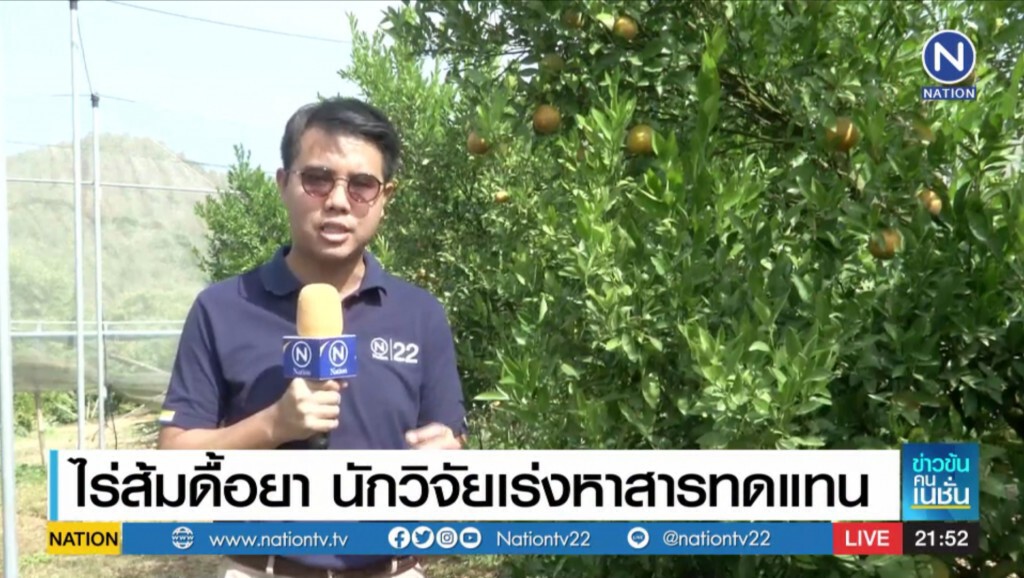 (รายงานพิเศษ)​ ไร่ส้มดื้อยา​ นักวิจัยเร่งหาสารทดแทน​