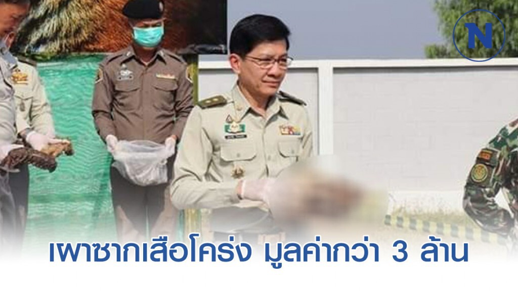 เผาซากเสือโคร่ง มูลค่ากว่า​ 3​ ล้าน​ หลังจับกุมผู้ค้าสัตว์ป่าชาวเวียดนาม จนคดีสิ้นสุด