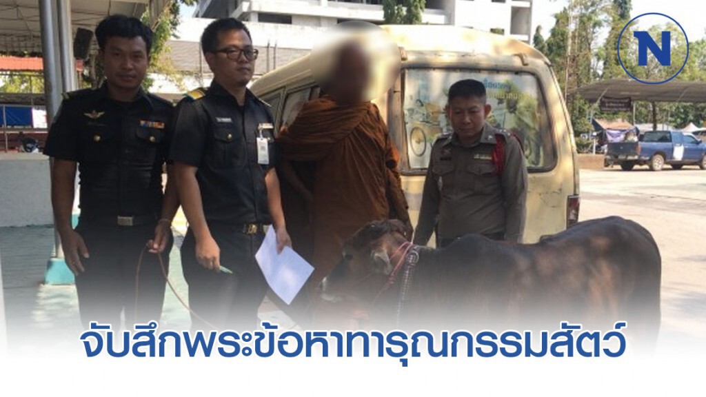 จับสึกพระข้อหาทารุณกรรมสัตว์ พาสุนัขและลูกโค เรี่ยไรเงินในหลายจว.