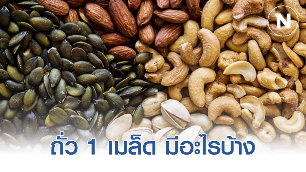 ถั่ว 1 เมล็ด มีอะไรบ้าง ถั่ว 1 เมล็ด มีอะไรบ้าง