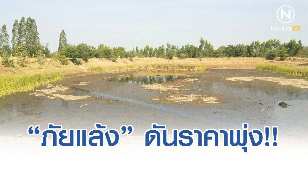 "ภัยแล้ง" ดันราคาสินค้าเกษตรพุ่ง