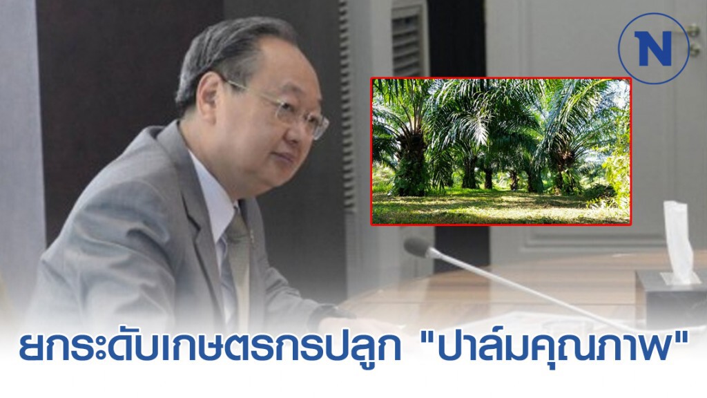 พลังงานยกระดับเกษตรกรปลูก "ปาล์มคุณภาพ"