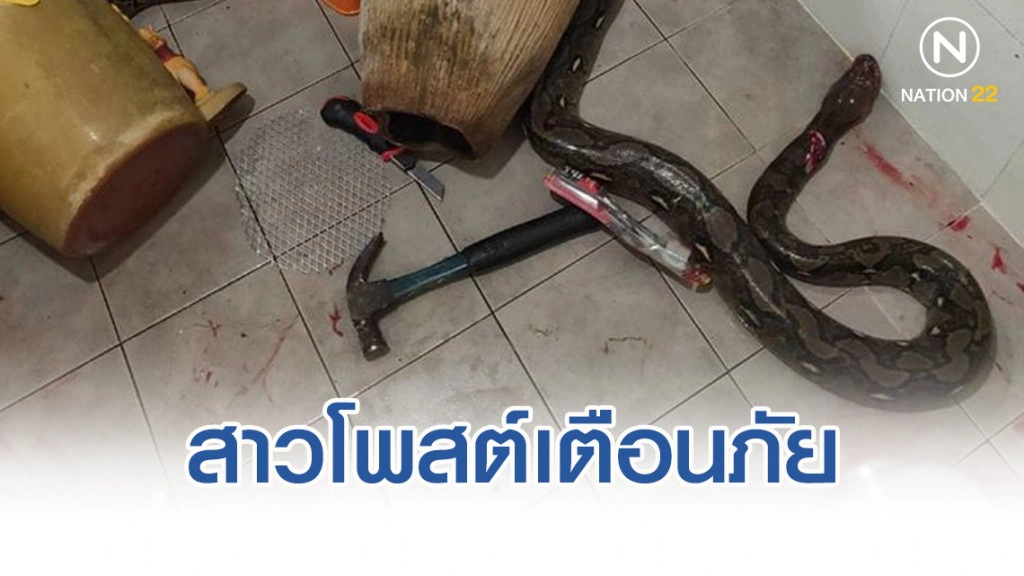 สาวโพสต์เตือนภัย หลังแม่เผชิญงูในชักโครก