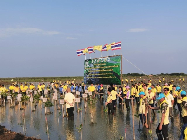 วันอนุรักษ์ทรัพยากรป่าไม้ของชาติ