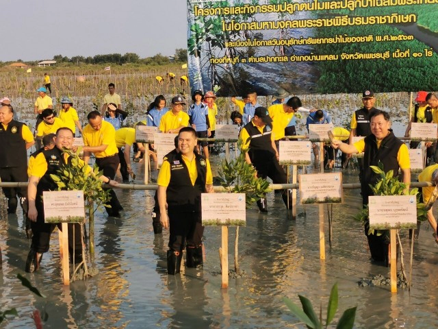 วันอนุรักษ์ทรัพยากรป่าไม้ของชาติ