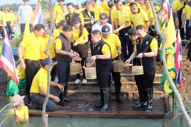 วันอนุรักษ์ทรัพยากรป่าไม้ของชาติ