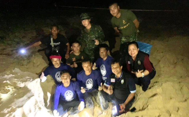 "ผศ.ดร.ธรณ์" โพสต์ สุดดีใจ พบเต่ามะเฟืองวางไข่ที่พังงา