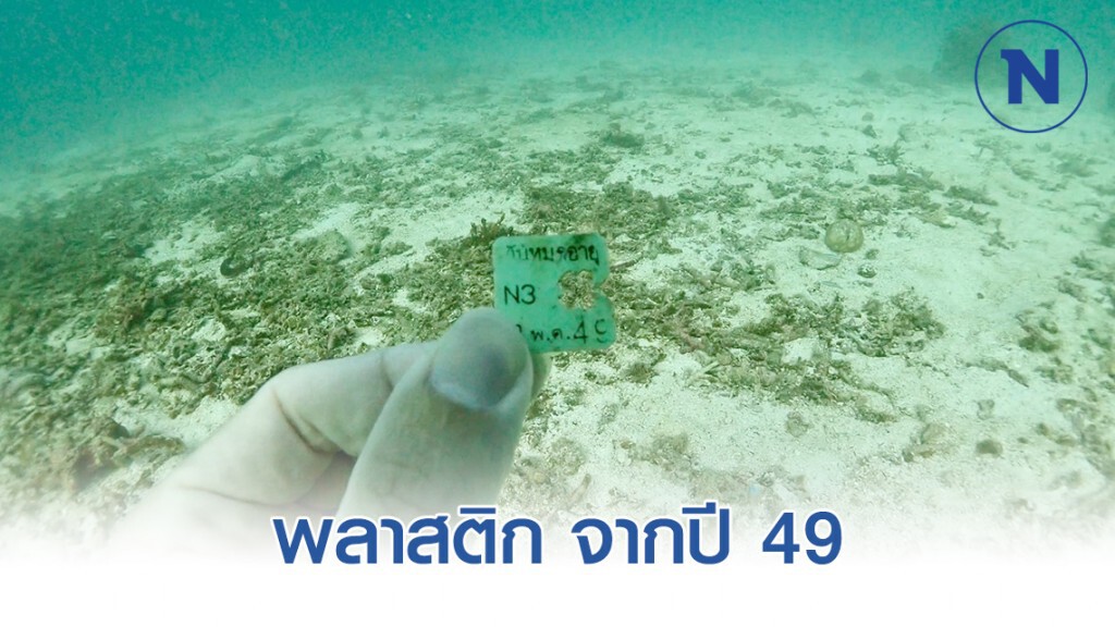 เผยภาพ พลาสติก จากปี 49 ยังอยู่ดีในปี 63! เผยภาพ พลาสติก จากปี 49 ยังอยู่ดีในปี 63!