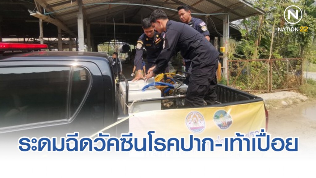 ระดมฉีดวัคซีนโรคปากและเท้าเปื่อยในโคนม ประกาศจ.สระบุรี เป็นเขตเฝ้าระวังโรคระบาด