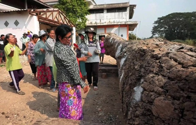 ชาวบ้านแห่ขอโชคลาภต้นตะเคียนยักษ์อายุ 702 ปี แน่นวัด