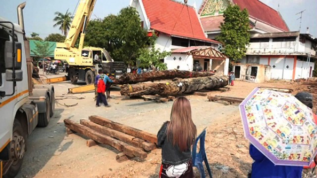 ชาวบ้านแห่ขอโชคลาภต้นตะเคียนยักษ์อายุ 702 ปี แน่นวัด