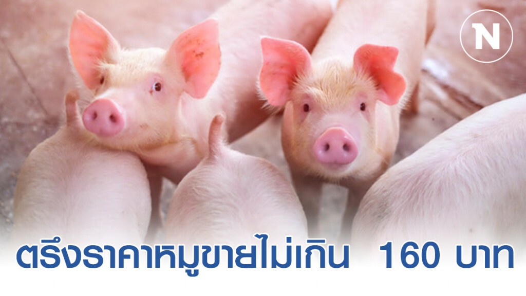 พาณิชย์ยันตรึงหมูหน้าเขียงขายไม่เกิน 160 บาท/กิโลกรัม