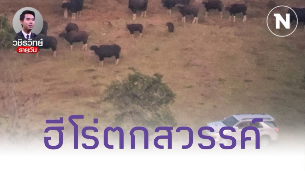 ใดใดล้วนไม่เที่ยง​ แม้แต่ความดีของ​ "หลวงพ่อกัญหา" ณ​ เขาแผงม้า​