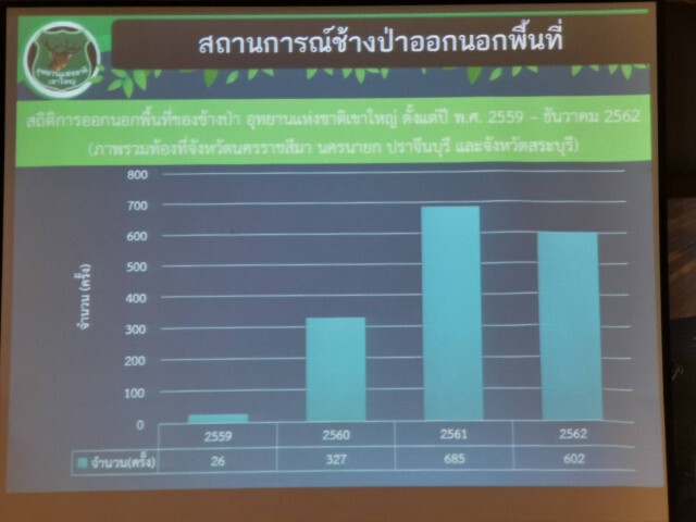 เขาใหญ่​ เตรียมแผนรับมือ​ ช้างป่าหากินนอกอุทยาน​