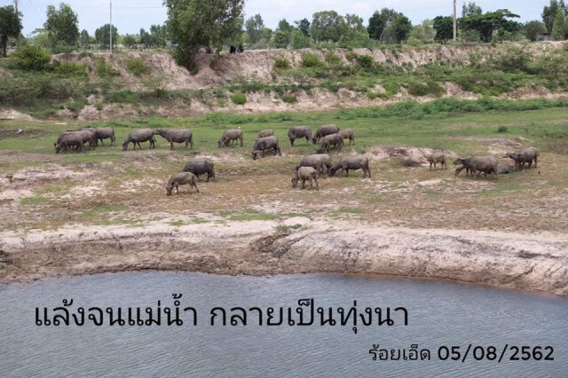 "หญิงหน่อย" แนะ 2 ทางแก้ปัญหาภัยแล้ง ย้ำรัฐบาลต้องจริงจัง