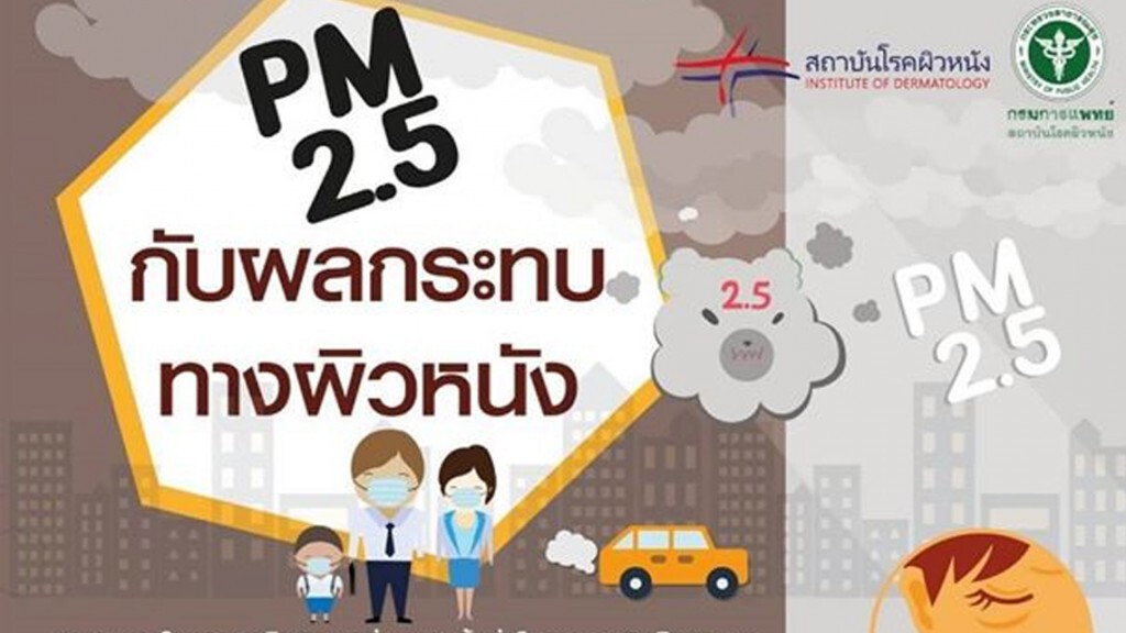 PM 2.5 กับผลกระทบทางผิวหนัง