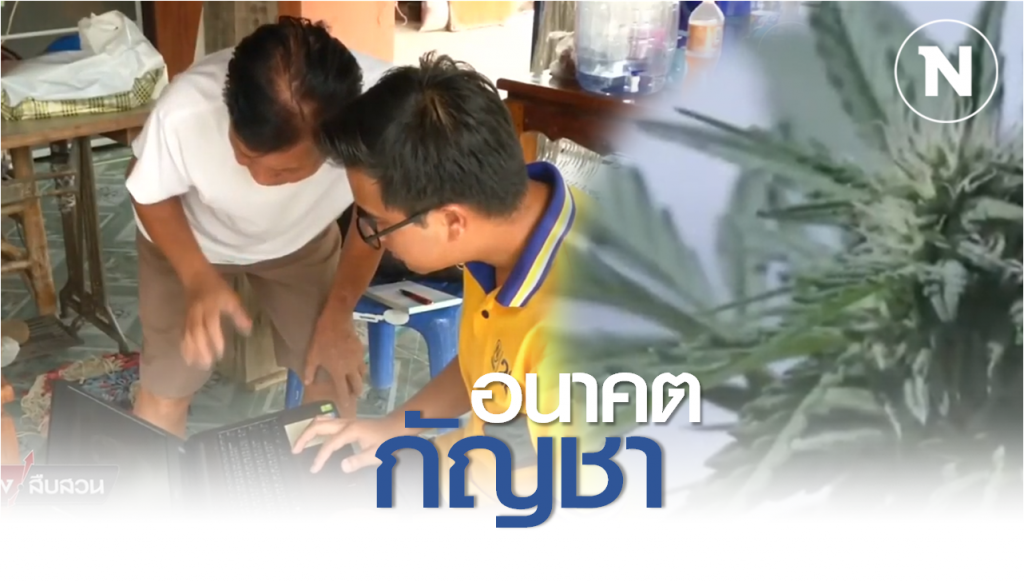 Nation Documentary | อนาคตกัญชา