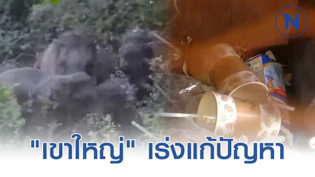 "เขาใหญ่" เร่งแก้ปัญหาช้างป่า - จัดการขยะ
