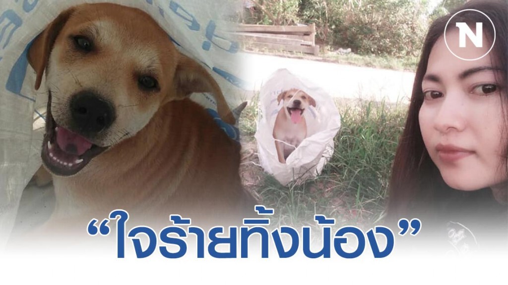 คนใจร้าย! ทิ้งน้องหมา ถูกยัดใส่กระสอบนำมาทิ้งไว้ คนใจร้าย! ทิ้งน้องหมา ถูกยัดใส่กระสอบนำมาทิ้งไว้