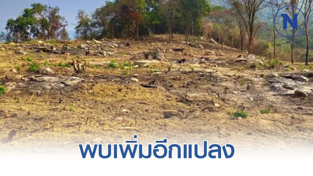 ตรวจที่ดิน นักการเมืองรุกเขาใหญ่ เพิ่มอีกแปลง