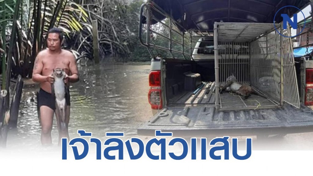 จับ "ลิงแสม" ​ตัวแสบ​ สร้างความเดือดร้อน​