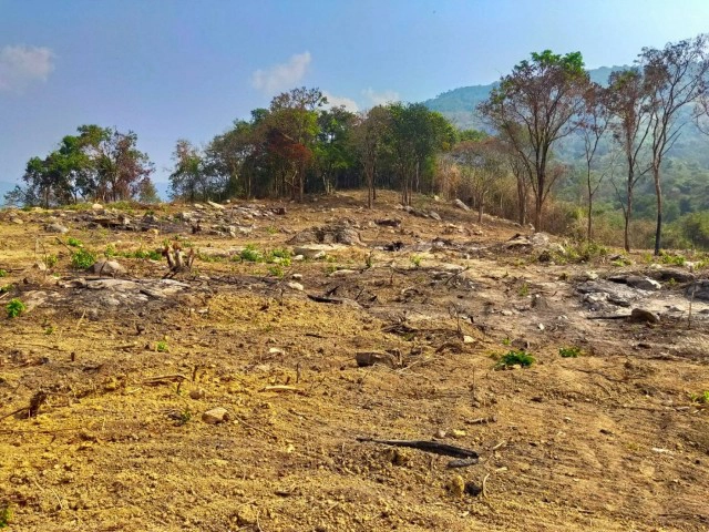 ตรวจที่ดิน นักการเมืองรุกเขาใหญ่ เพิ่มอีกแปลง