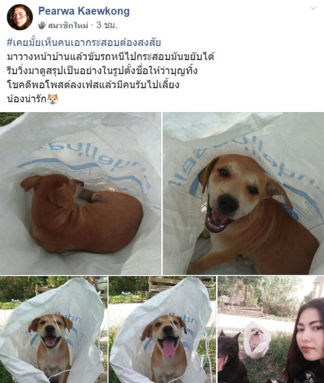 คนใจร้าย! ทิ้งน้องหมา ถูกยัดใส่กระสอบนำมาทิ้งไว้