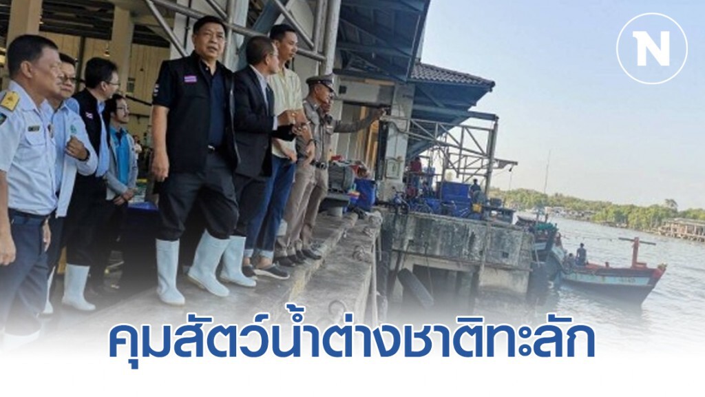 เกษตรฯ​ คุมสัตว์น้ำต่างชาติทะลักเข้าไทย พร้อมแก้ปัญหาราคาอาหารทะเลตก