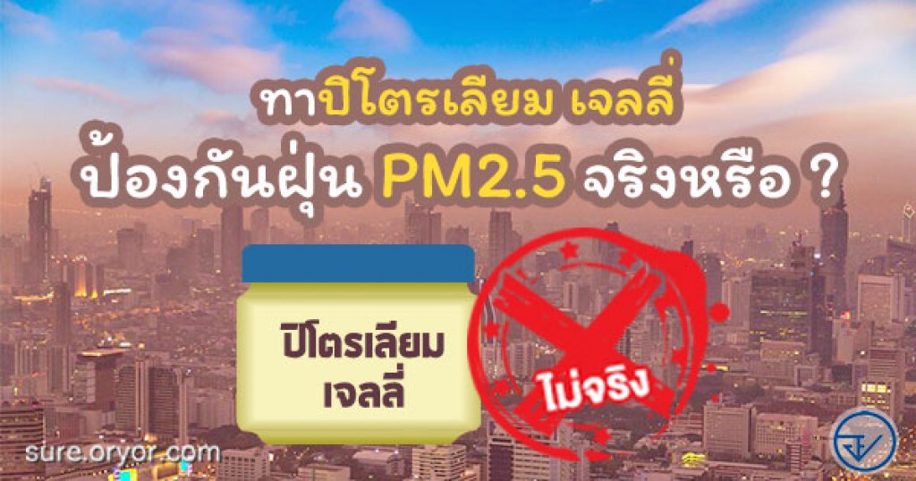 ทาปิโตรเลียม เจลลี่ ป้องกันฝุ่น PM 2.5 ไม่ได้