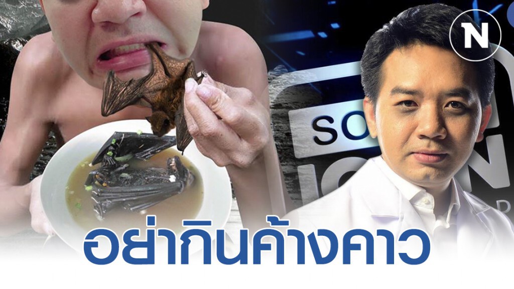 หมอแล็บ เตือน! อย่ากินค้างคาว