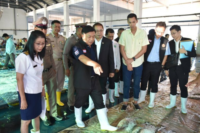 เกษตรฯ​ คุมสัตว์น้ำต่างชาติทะลักเข้าไทย พร้อมแก้ปัญหาราคาอาหารทะเลตก