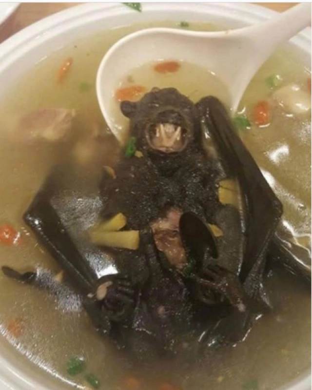 "แทค ภรัณยู" โพสต์ถาม ซุปค้างคาวน่ากินตรงไหน