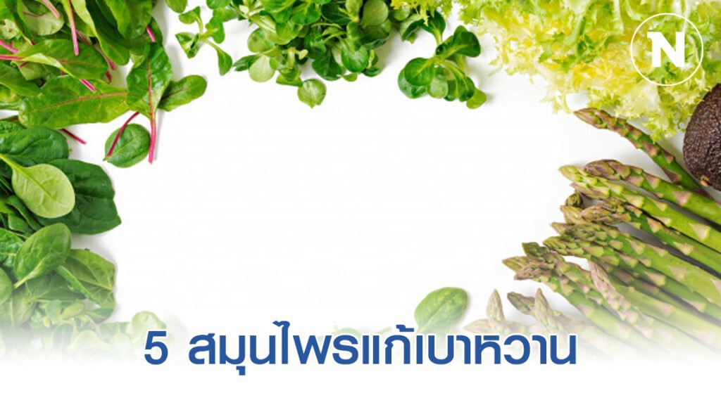 5 สมุนไพรแก้เบาหวาน แบบปลอดภัย