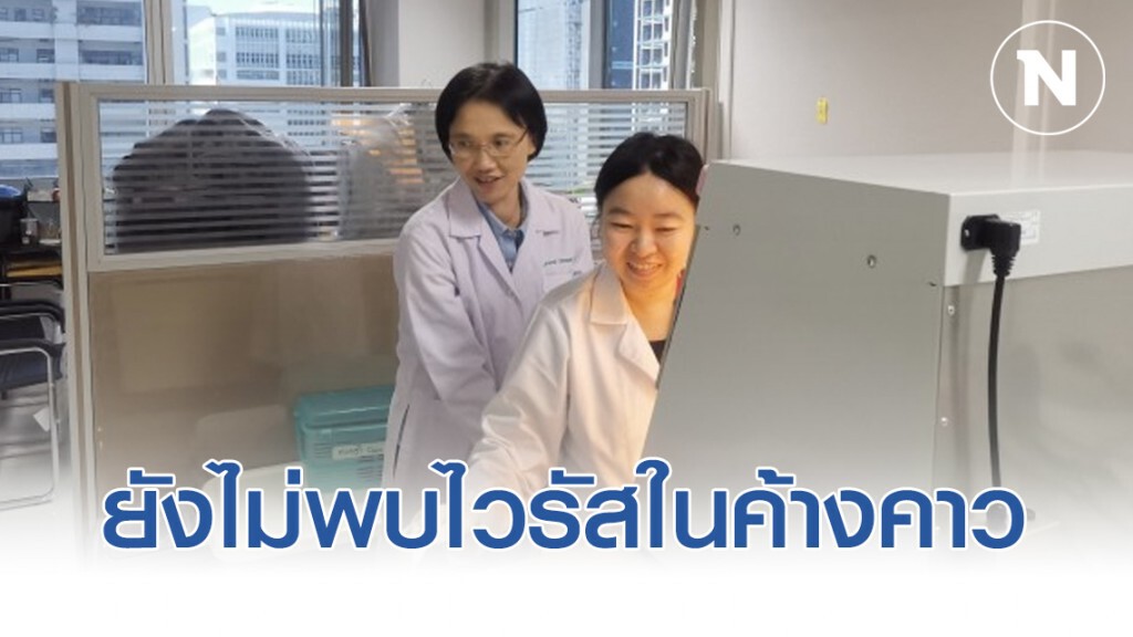 นักวิจัย จุฬาฯ ยัน ยังไม่พบไวรัสโคโรน่าสายพันธุ์ใหม่ 2019 ในค้างคาวไทย