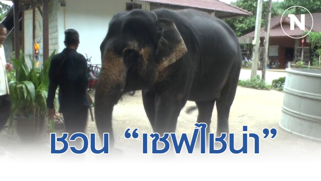 ชวนผู้ประกอบการท่องเที่ยวเชียงใหม่ "เซฟไชน่า" รอดวิกฤตไวรัสโคโรน่า