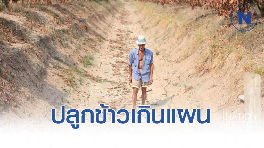 ปลูกข้าวเกินแผนพุ่ง​ 3.16​ ล้านไร่​ กรมชลฯ​ ห่วงจัดสรรน้ำลุ่ม​เจ้าพระยา​ หวั่นน้ำหายกลางทาง